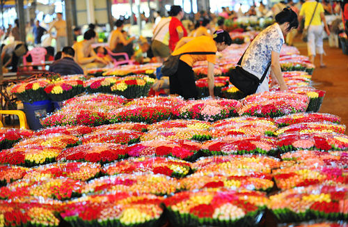 Chinaflower214's Blog -Guangzhou Lingnan Flower Market - Flowers Market