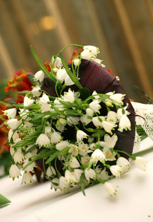 China Flowers GuideWedding flower meanings modern day flower meanings